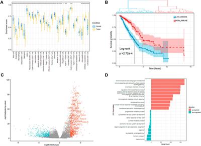 Multi-Omics Signatures Identification for LUAD Prognosis Prediction Model Based on the Integrative Analysis of Immune and Hypoxia Signals